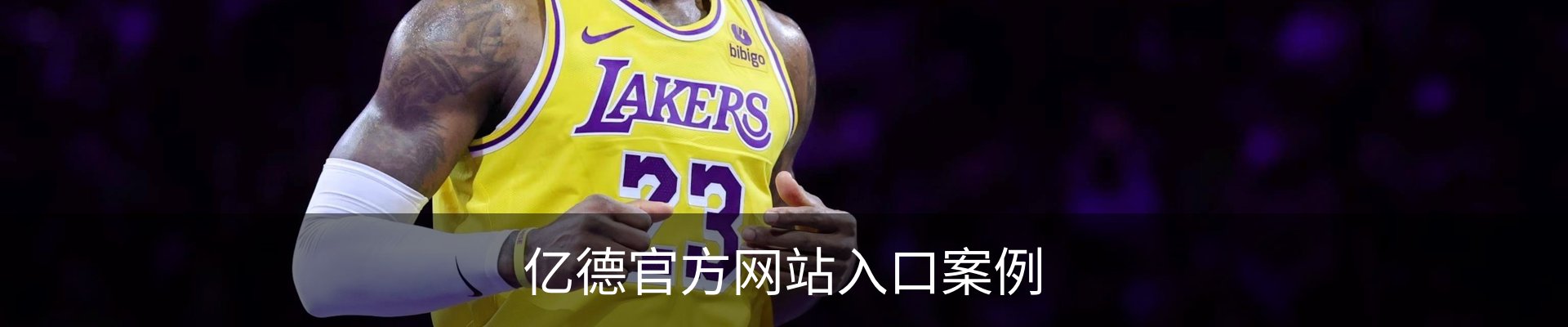 亿德官方网站入口案例