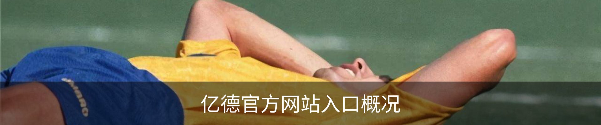 亿德官方网站入口概况