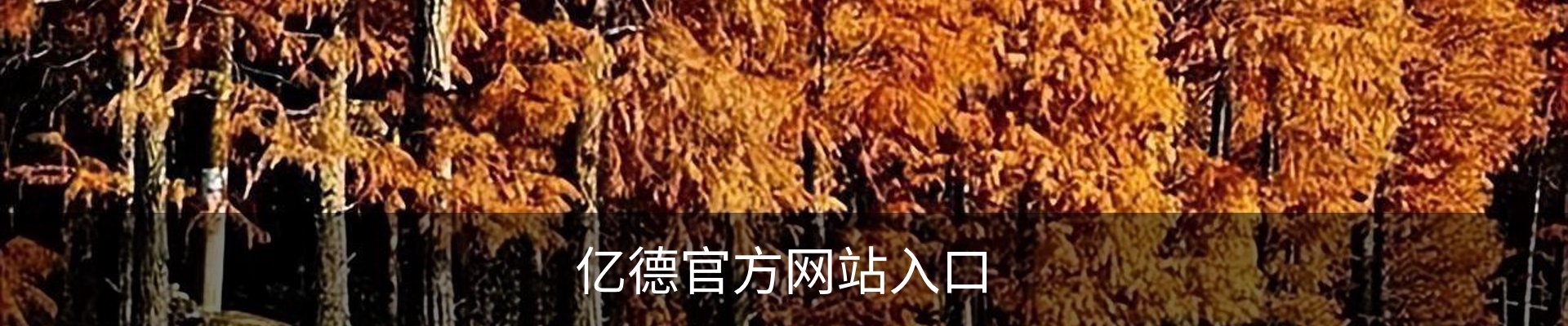 亿德官方网站入口